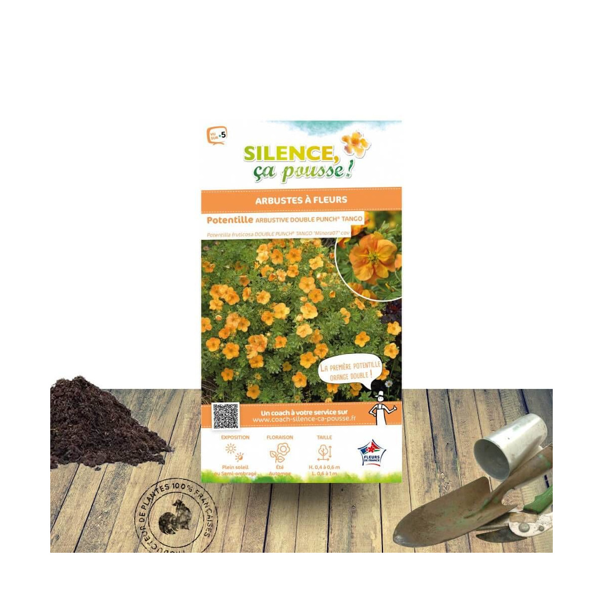 Potentille arbustive Double Punch® Tango - SILENCE, ça pousse !, Potentilla