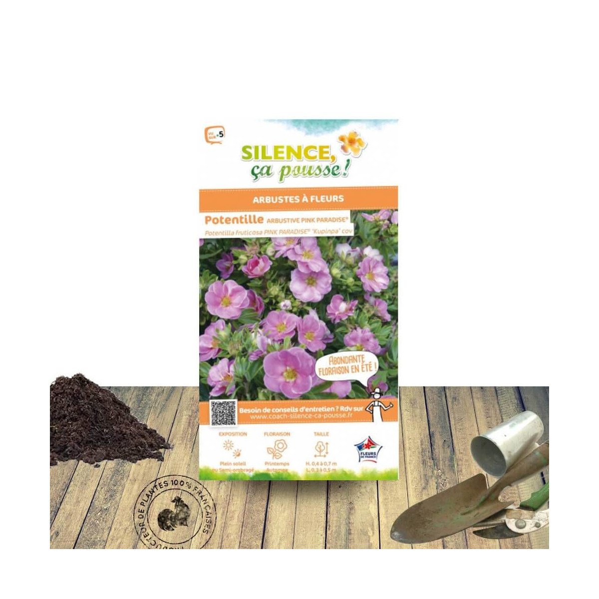 Potentille arbustive Pink Paradise® - SILENCE, ça pousse !, Potentilla Potentille arbustive Pink Paradise® - SILENCE, ça pousse !, Potentilla