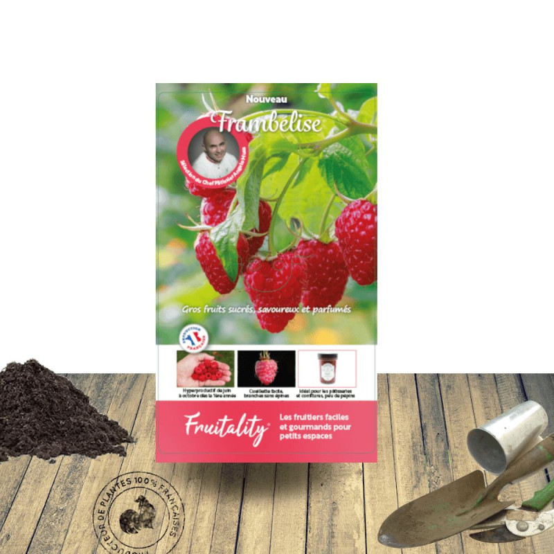 Framboisier Frambélise®