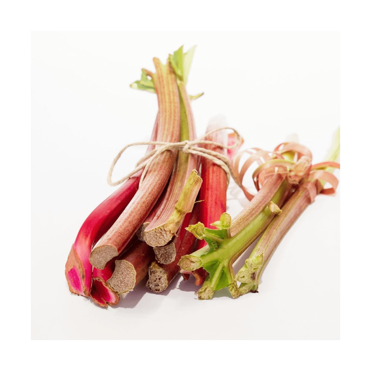 Plants de Rhubarbe des jardins Victoria