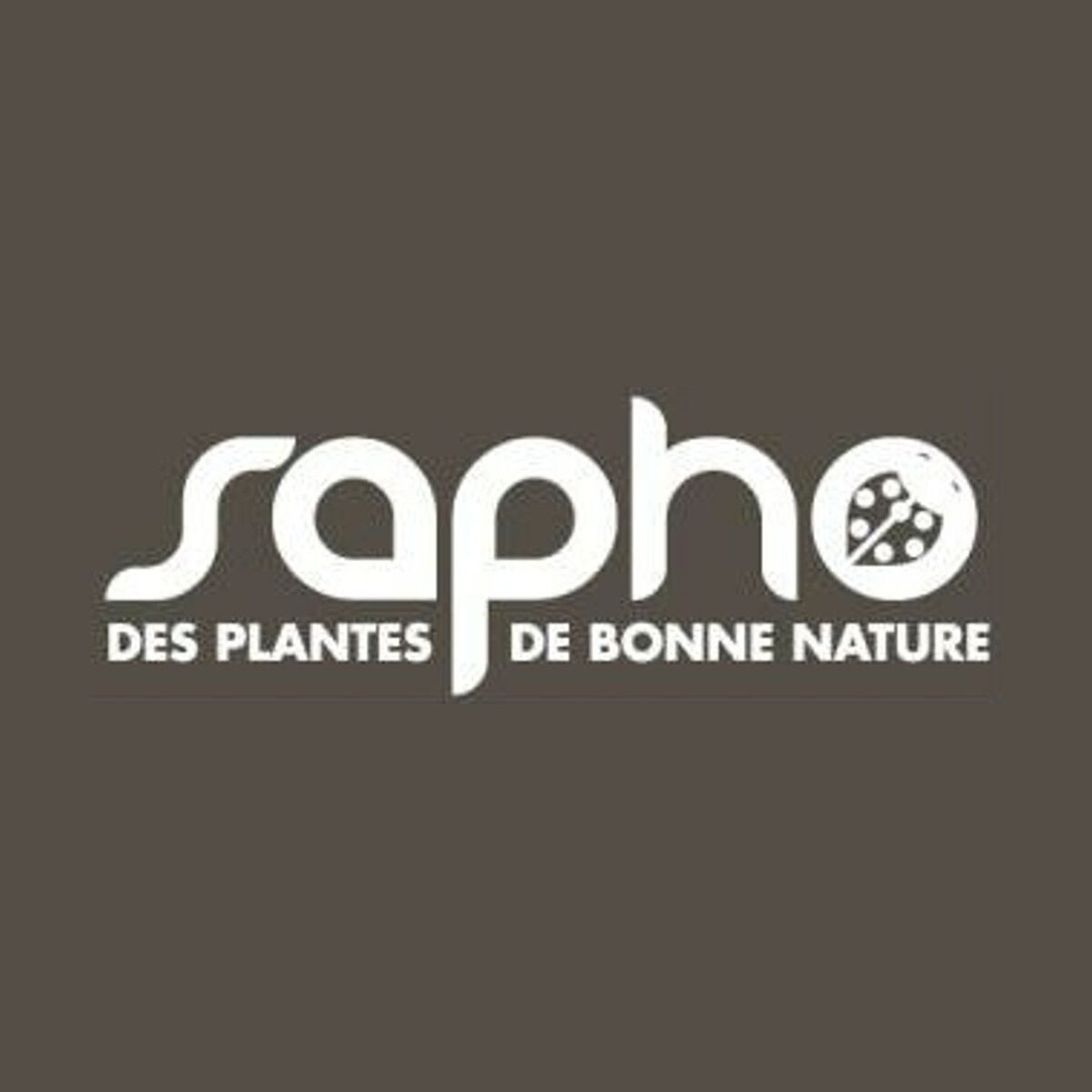 Buisson ardent coccinea Saphyr® Jaune 'Cadaune'