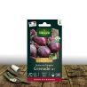 Graines de Betterave Potagère Grenade HF1 - Vilmorin