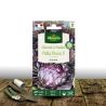 Graines de Chicorée à feuille Palla Rossa 5 - Vilmorin