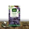 Graines de Basilic pourpre - Vilmorin