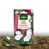 Graines de Radis d\'hiver Rose de Chine - Vilmorin