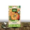 Graines de Tomate Ananas (Pinapple) - Sans traitement - Vilmorin