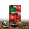 Graines de Tomate Dona HF1 - Vilmorin