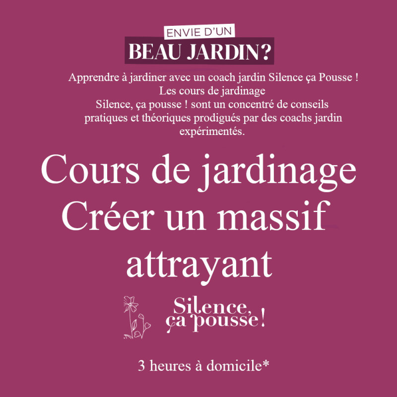 Cours de jardinage à domicile - Créer un massif attrayant - Silence ça pousse !