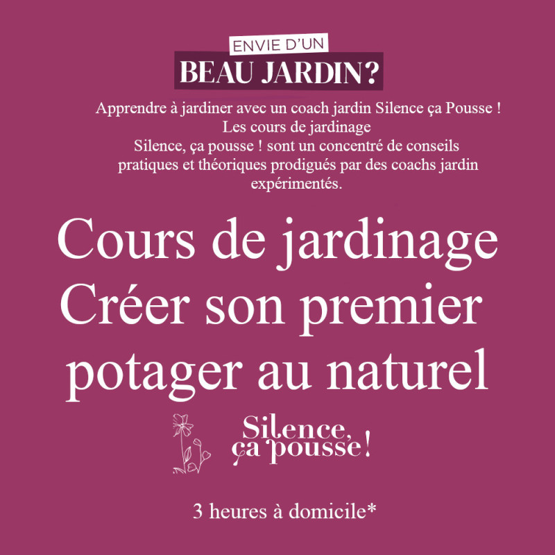 Cours de jardinage à domicile - Créer son premier potager au naturel - Silence ça pousse !