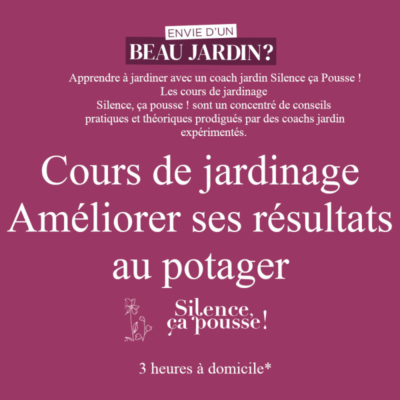 Cours de jardinage à domicile - Améliorer ses résultats au potage - Silence ça pousse !