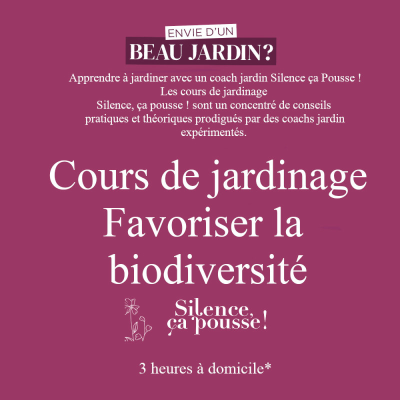 Cours de jardinage à domicile - Favoriser la biodiversité dans son jardin - Silence ça pousse !