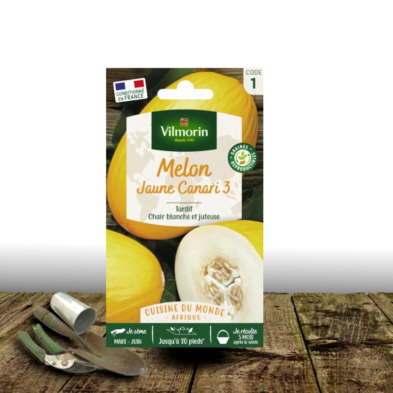 Graines de Melon Jaune canari 3 - Vilmorin