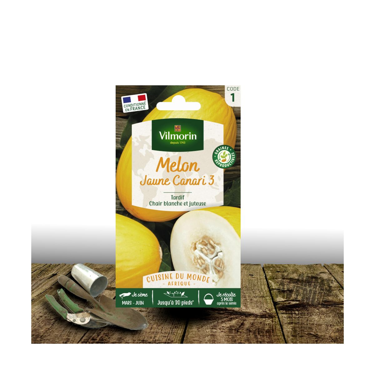 Graines de Melon Jaune canari 3 - Vilmorin