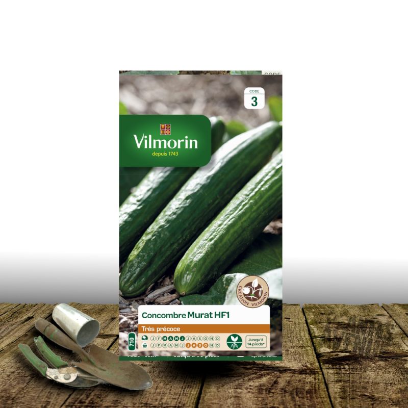 Graines de Concombre Murat HF1 - Vilmorin