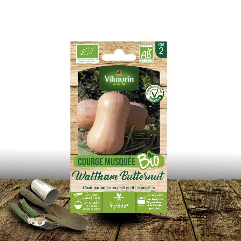 Graines de Courge Butternut Waltham Butternut - Sans traitement - Vilmorin