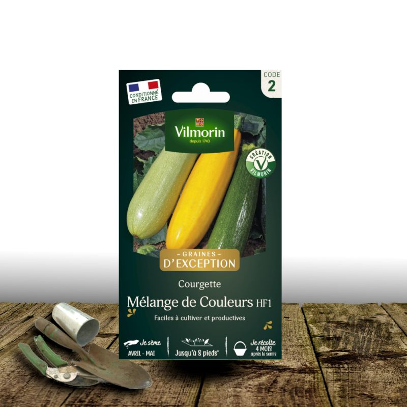 Graines de Courgette Mélange de couleur HF1 - Vilmorin