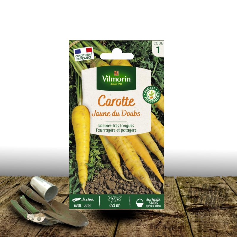 Graines de Carotte Jaune du Doubs - Vilmorin