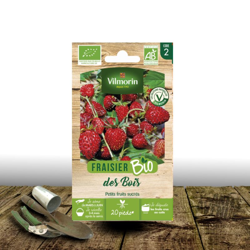 Graines de fraisier des bois - - Sans traitement - Vilmorin