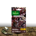 Graines de Laitue à couper feuille de chêne Rouge Grenadine - Vilmorin