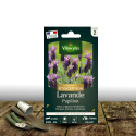 Graines de lavande Papillon - Vilmorin
