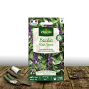 Graines de Basilic Blue Spice - Vilmorin