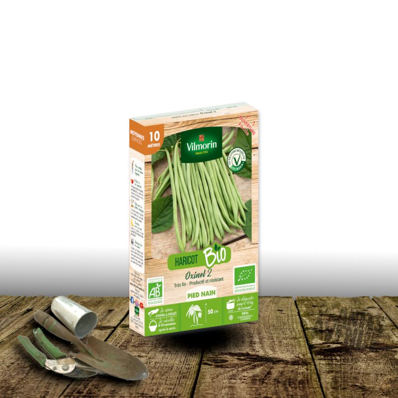 Graines de Haricot Nain vert sans fil Oxinel 2 - Sans traitement - Vilmorin