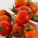 Graines de Tomate Roma VF - Sans traitement - Vilmorin
