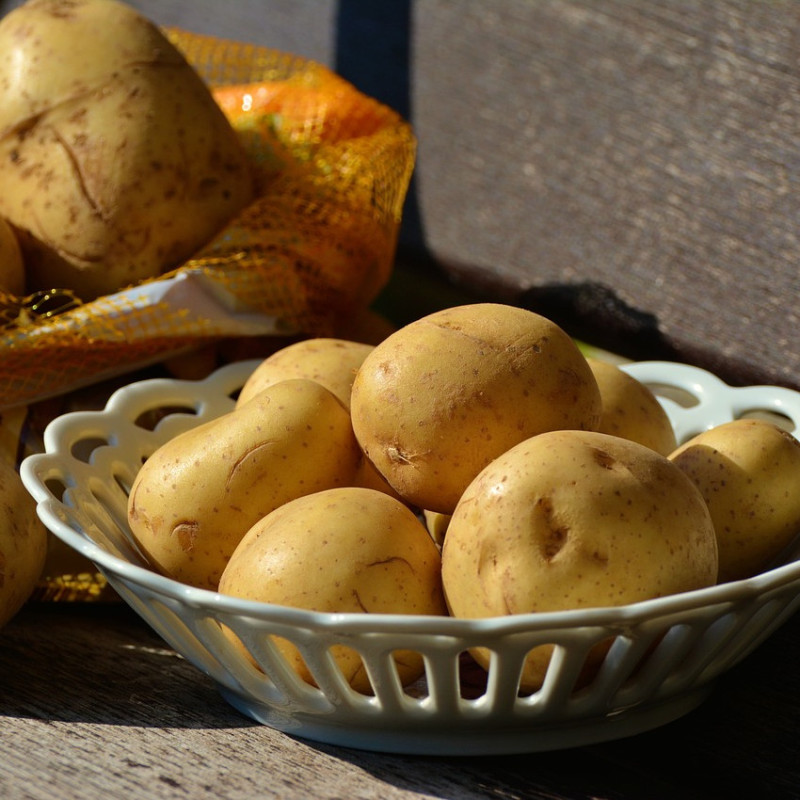 Plants de pomme de terre Gourmandine