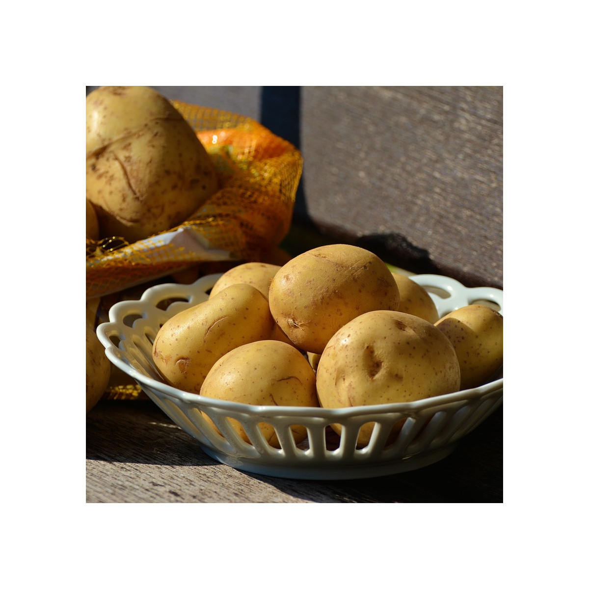 Plants de pomme de terre Gourmandine Plants de pomme de terre Gourmandine