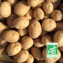 Plants de pomme de terre Charlotte Bio