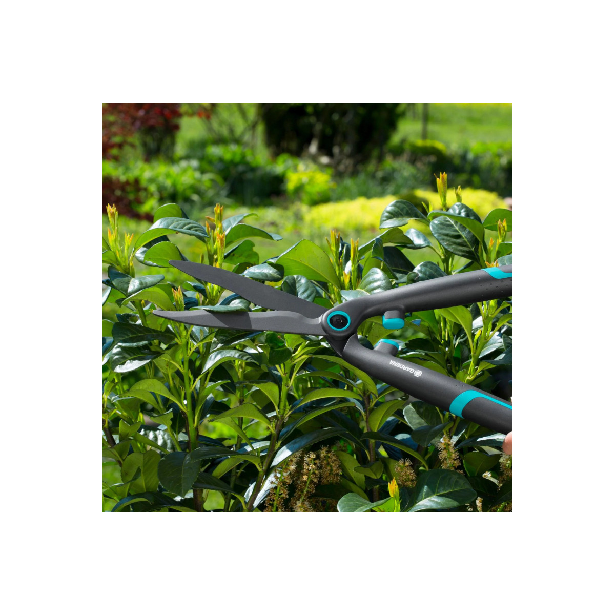 Cisaille à haies Easycut® - Gardena Cisaille à haies Easycut® - Gardena