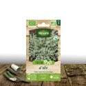 Graines de Thym de Provence Bio - Vilmorin