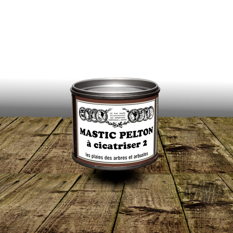 Mastic cicatriser - 195 gr - Pelton