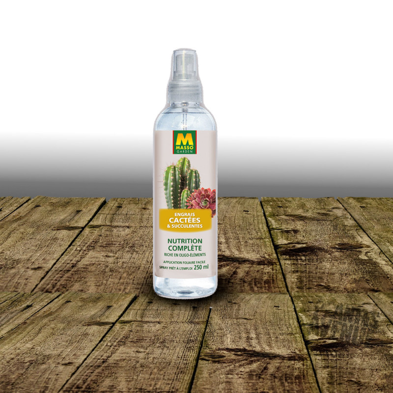 Engrais foliaire cactées et succulentes Spray prêt à l'emploi - Masso Garden