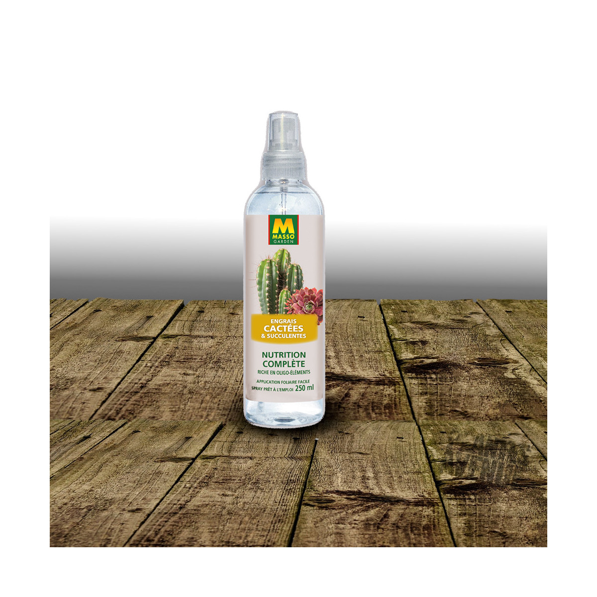 Engrais foliaire cactées et succulentes Spray prêt à l'emploi - Masso Garden