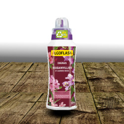 Engrais Liquide Bougainvilliers et Lauriers Roses - Algoflash