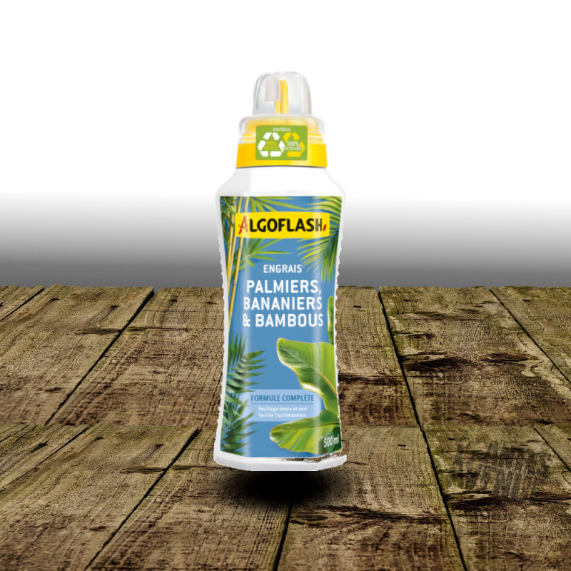 Engrais Liquide Palmiers, Bananiers et Bambous - Algoflash
