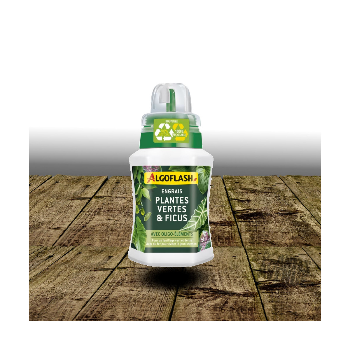 Engrais Liquide Plantes Vertes et Ficus - Algoflash Engrais Liquide Plantes Vertes et Ficus - Algoflash