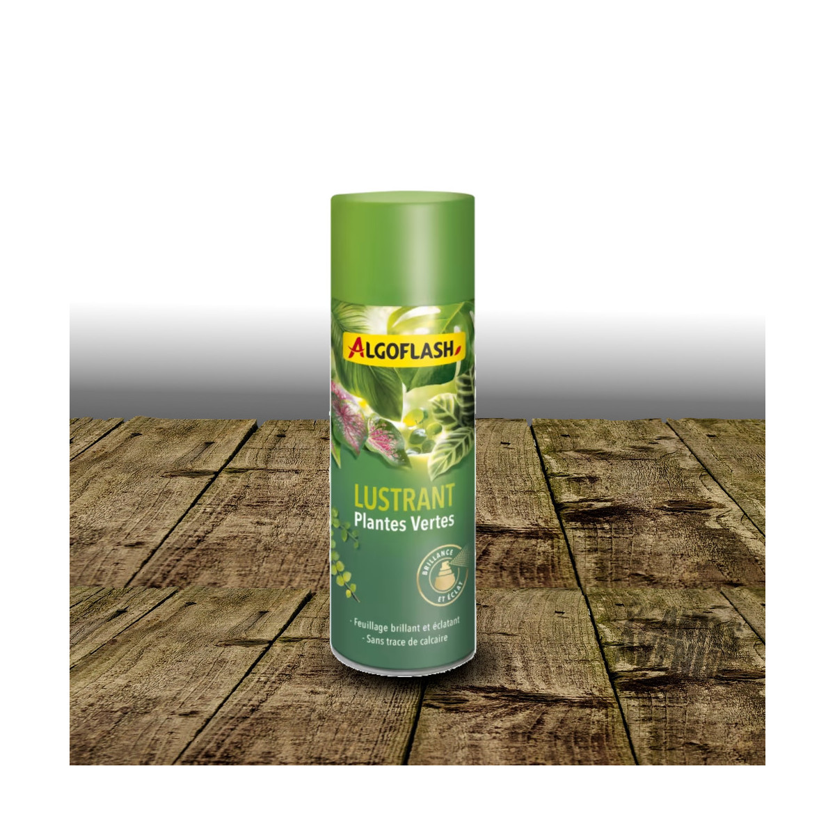 Lustrant Plantes Vertes - Algoflash
