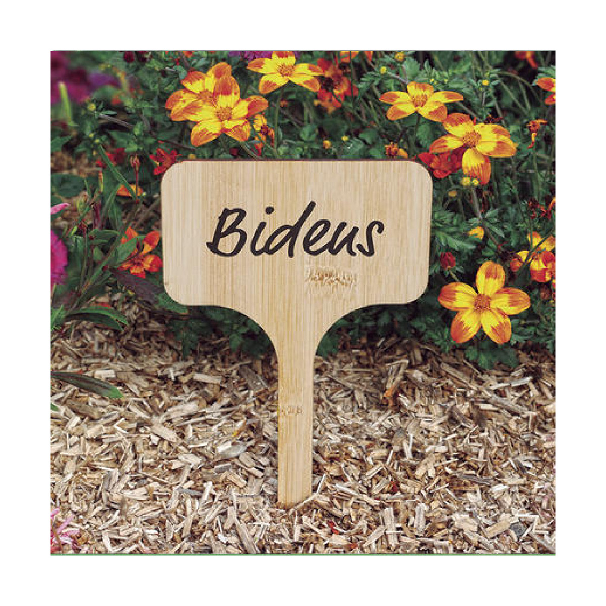 Étiquettes à planter en Bambou - BAMBOO 20 - Nortene