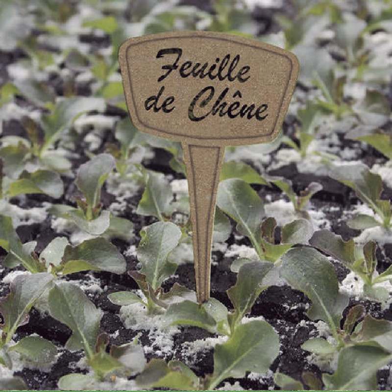 Étiquette à planter à base de Miscanthus - LABEL FIB 25  - Nortene