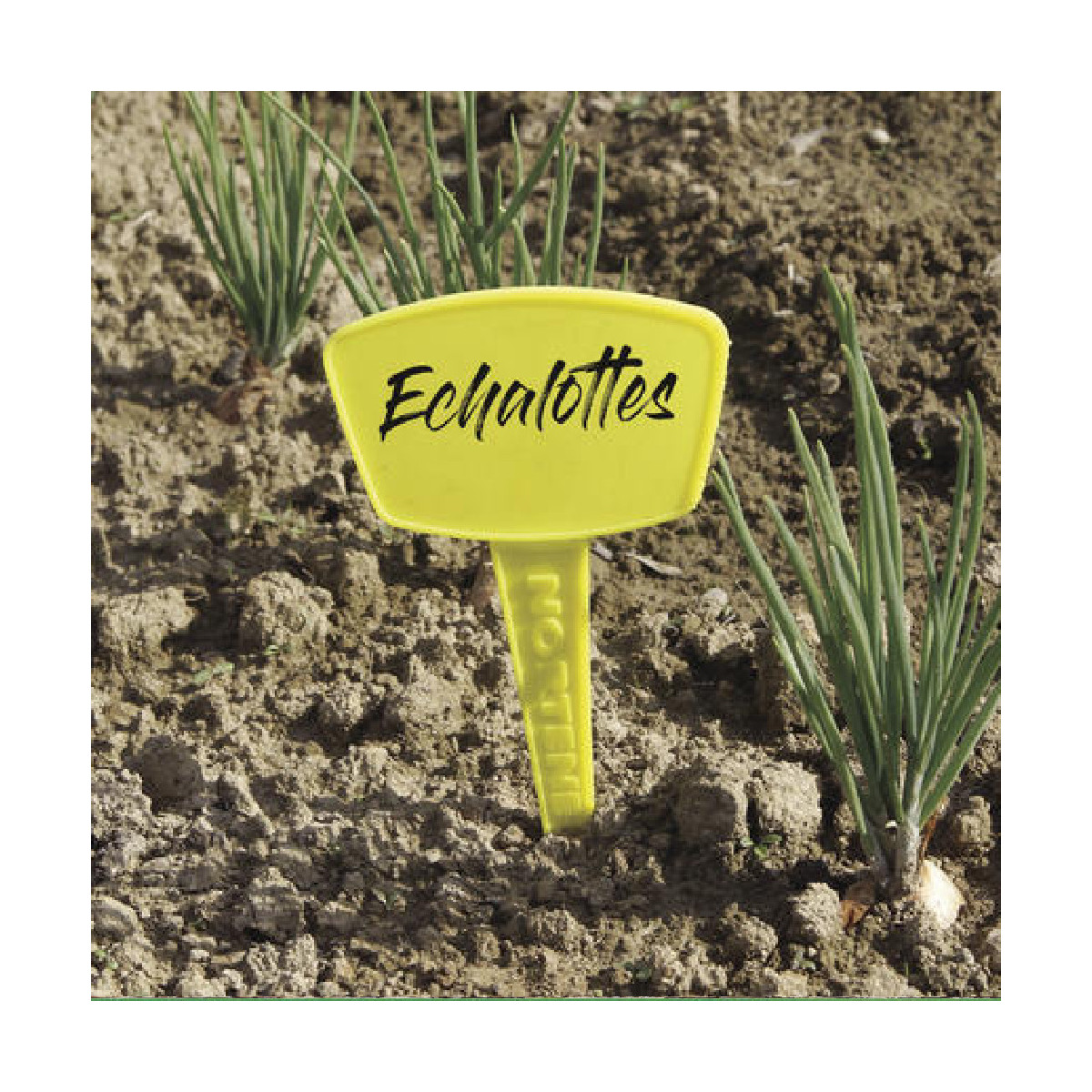 Étiquettes à planter - Label 35 - Nortene Étiquettes à planter - Label 35 - Nortene