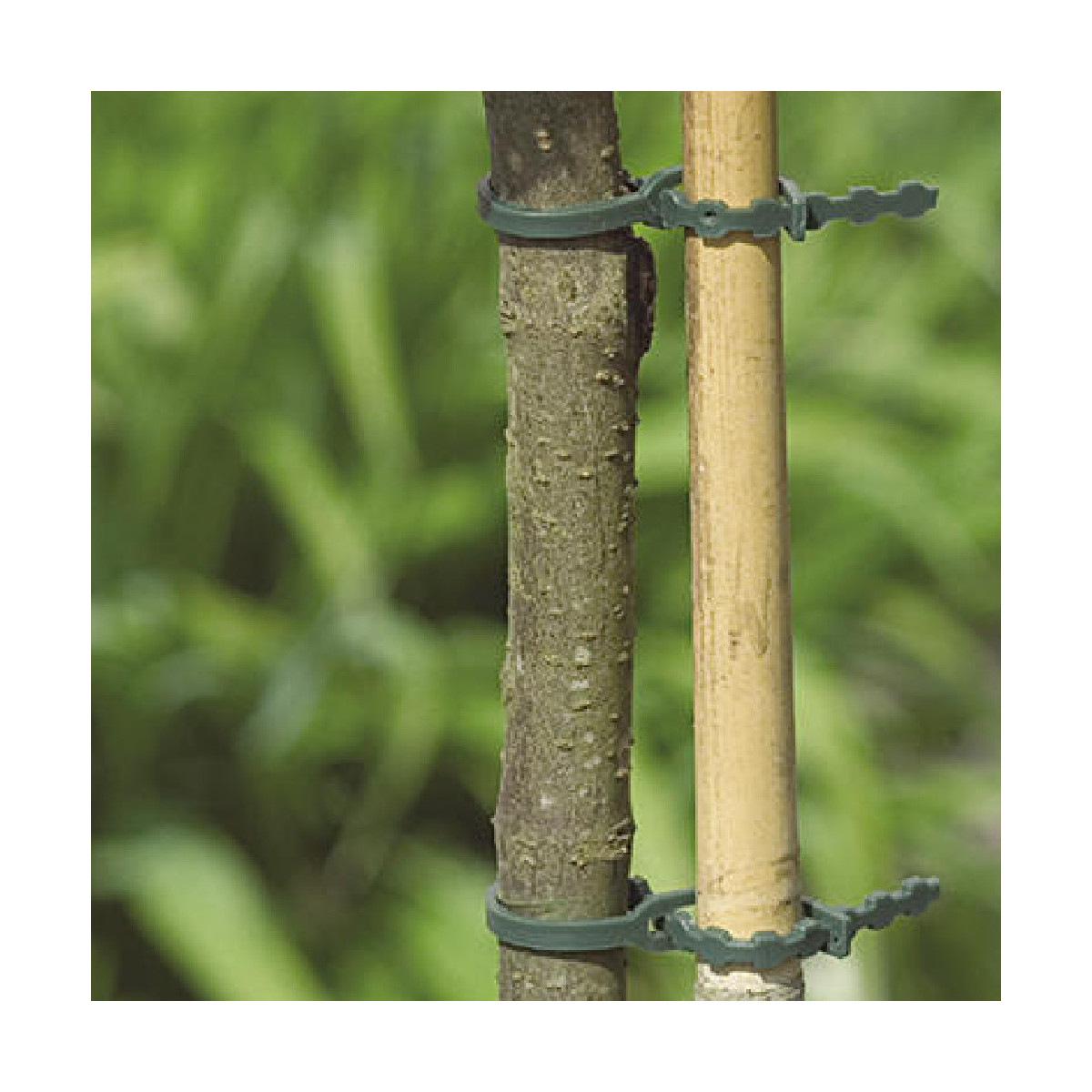 Liens plastiques 17 cm - FIX 17 - Nortene Liens plastiques 17 cm - FIX 17 - Nortene