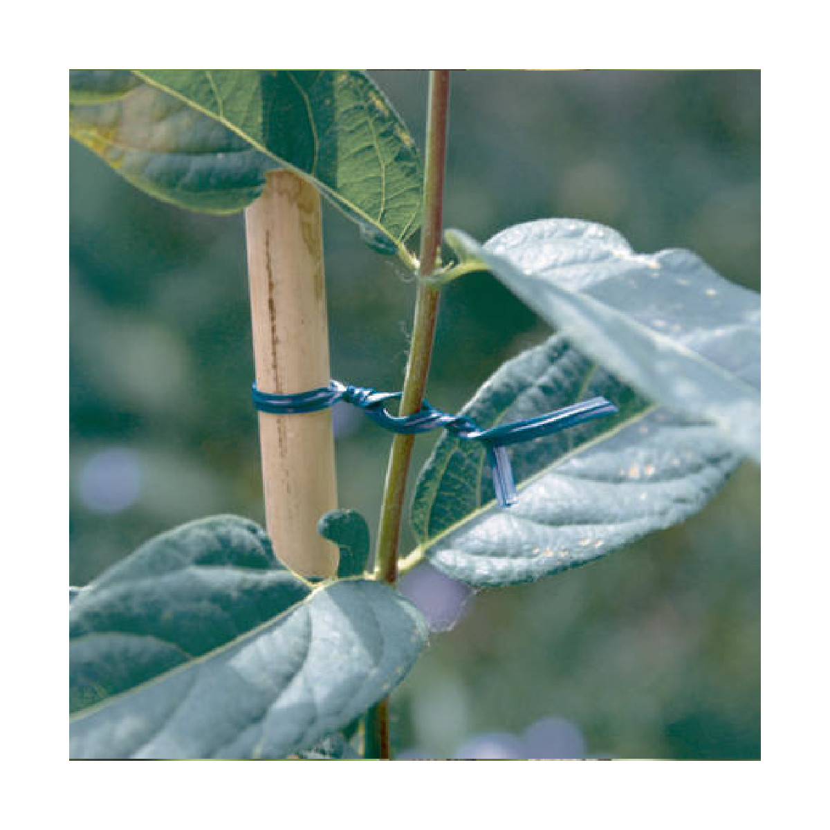Liens plastiques armé - AP-FIX - Nortene