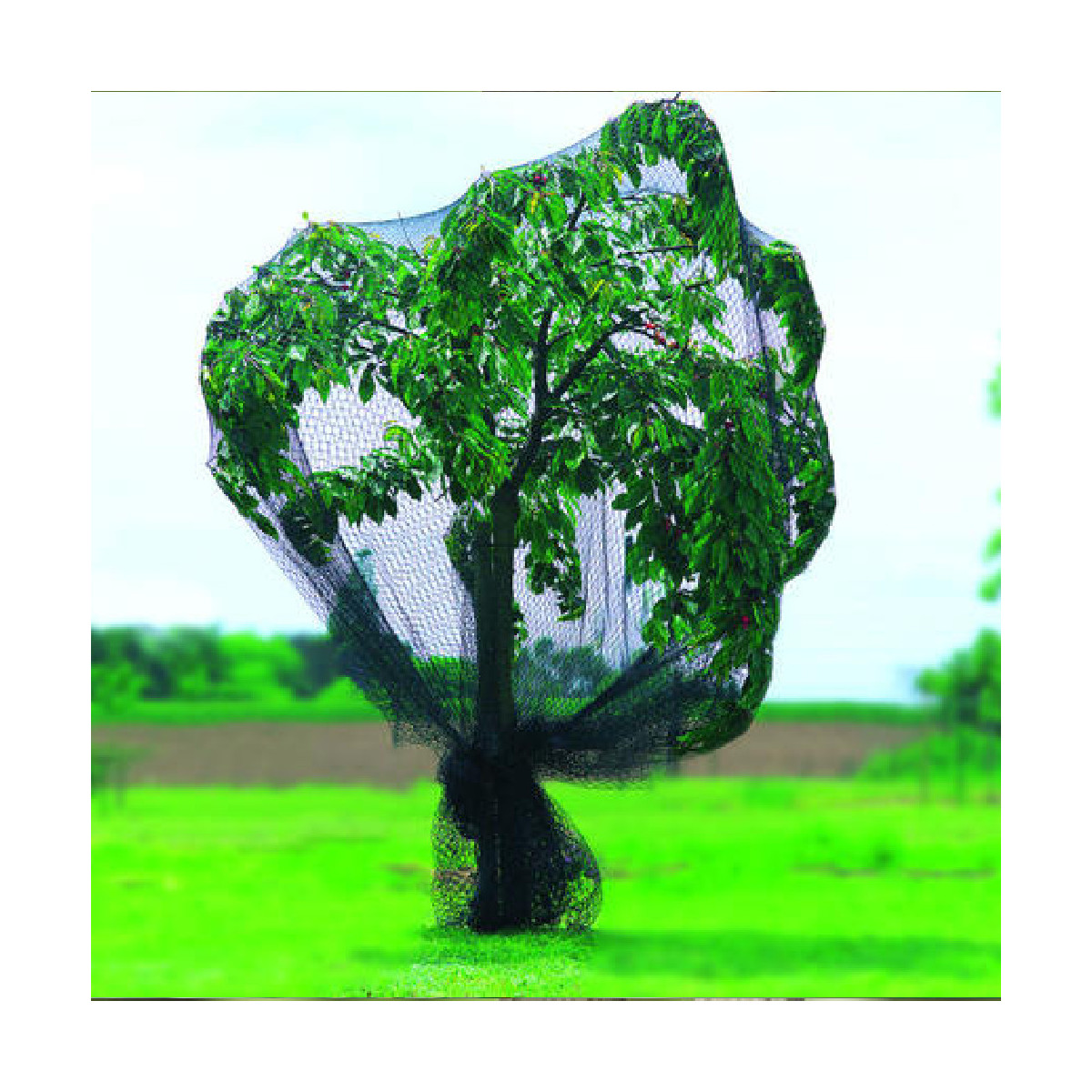 Filet de protection renforcé 5 m x 6 m - Pronet - Nortene