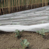 Filet anti-insectes - BIOCONTROL - Nortene