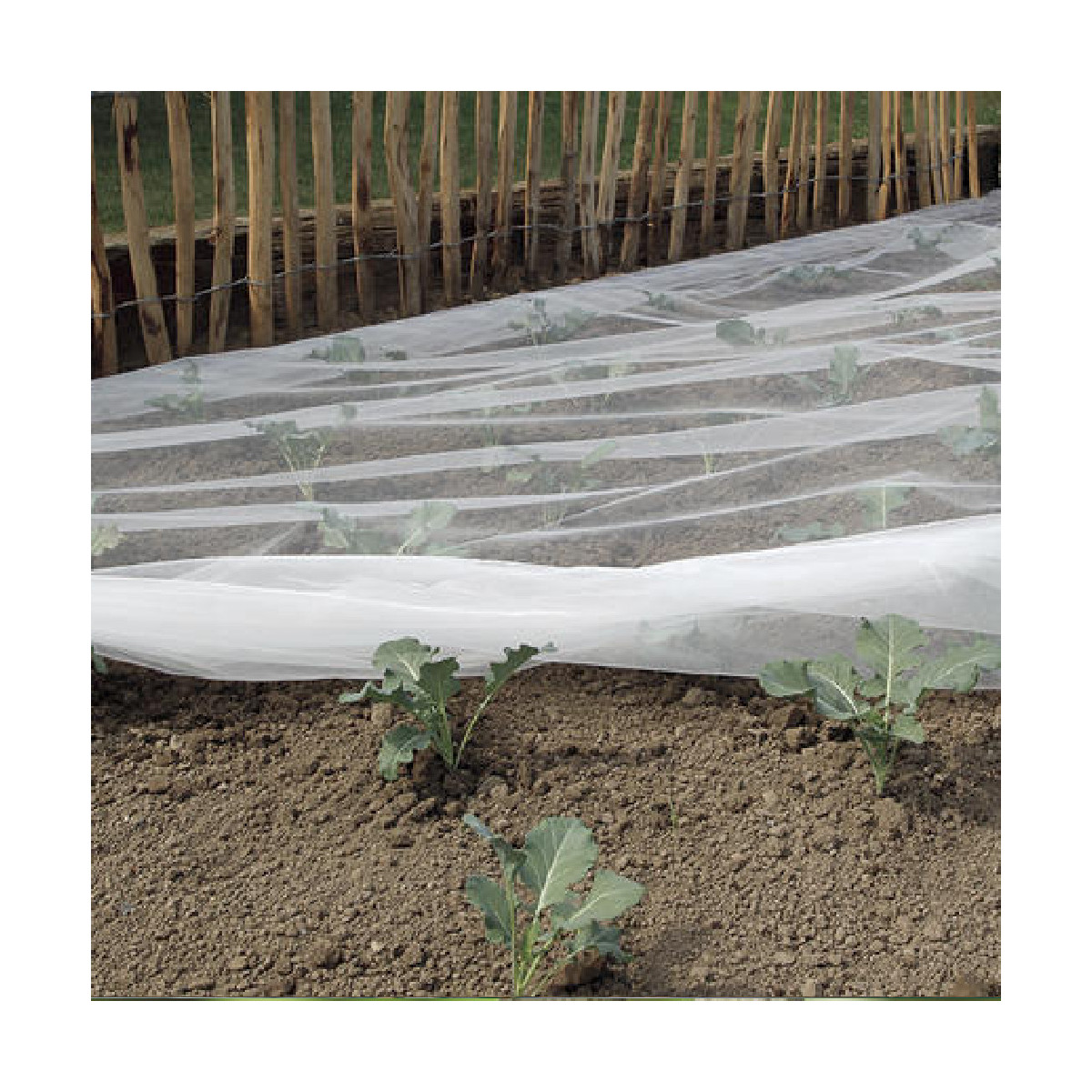 Filet anti-insectes - BIOCONTROL - Nortene