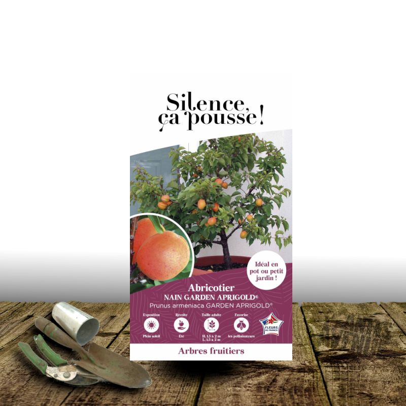 Abricotier nain Garden Aprigold® - SILENCE, ça pousse !