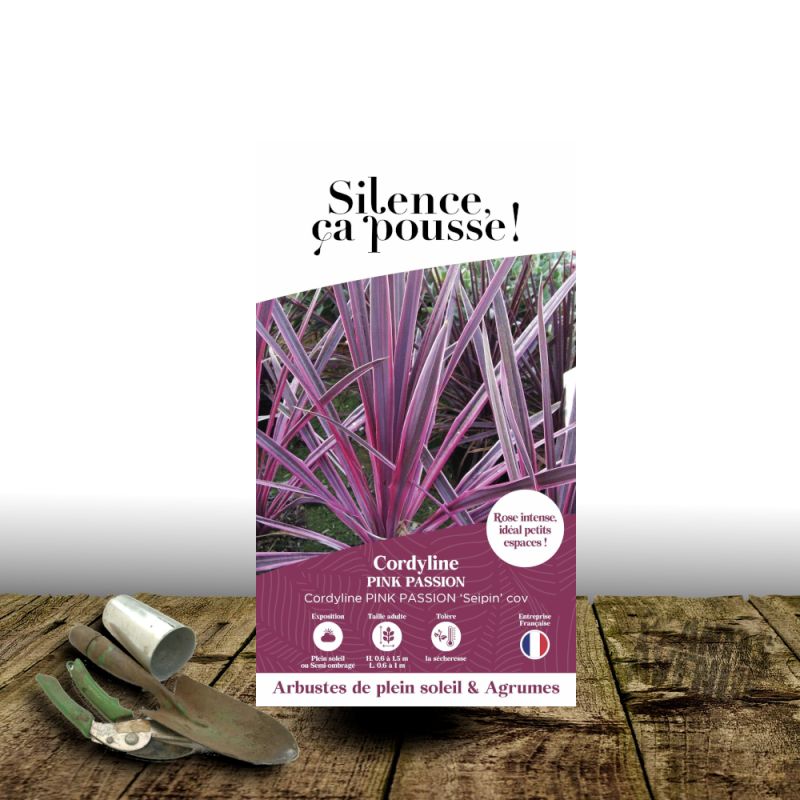 Cordyline australe Pink Passion® - SILENCE, ça pousse !