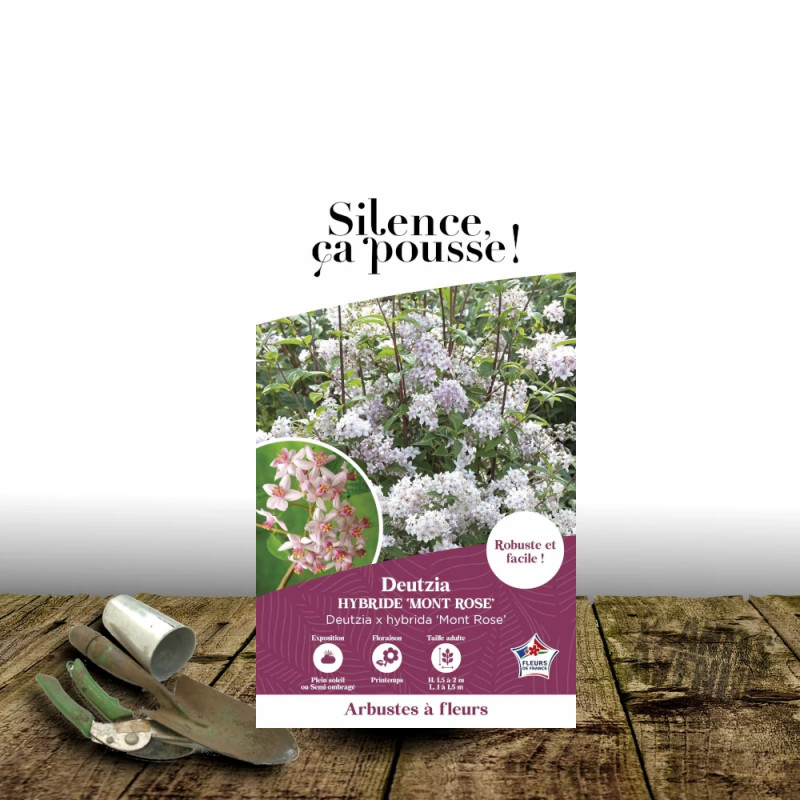 Deutzie Mont Rose - SILENCE, ça pousse !, Deutzia